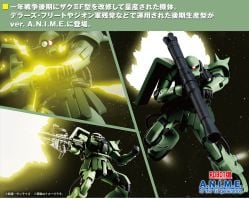 Robot Spirits MS-06F-2 Zaku II F-2 TYPE Ver. A.N.I.M.E.