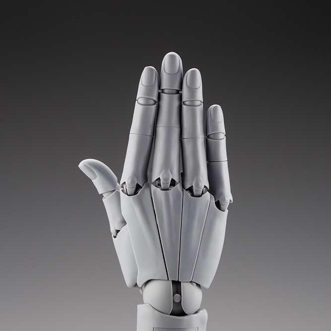 1/1 Artist Support Item: Hand Model/R -Grey-