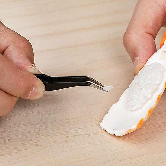 Sushi Plastic Model: Shrimp Ver.